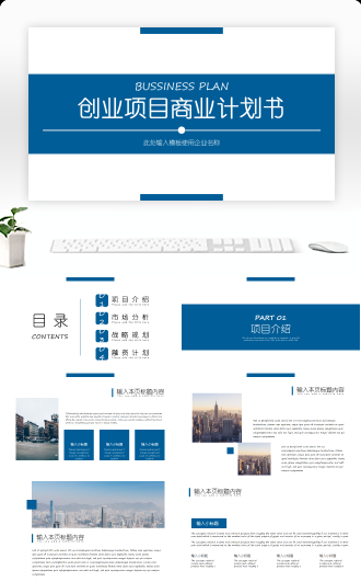 创业项目商业计划书