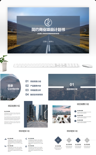 简约商业项目融资计划书模板