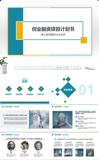 创业融资项目计划书