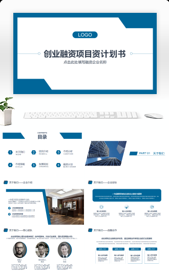 创业融资项目计划书