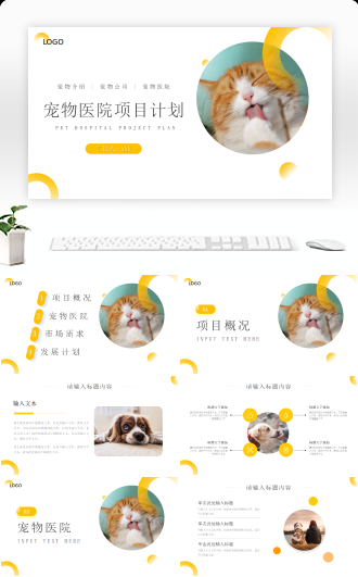 宠物医院美容用品商店项目计划