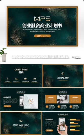 潮水绿简约创业融资商业计划书
