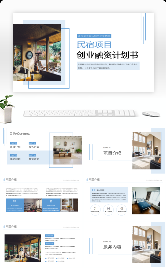 民宿项目创业融资计划书