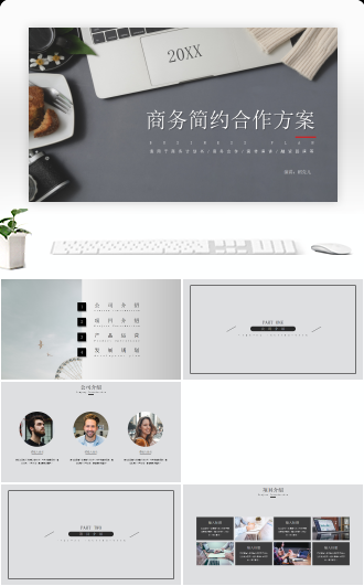 简约黑白商务计划书项目介绍