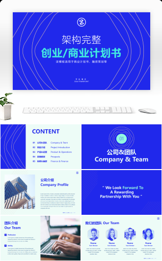 简约框架完整创业商业计划书