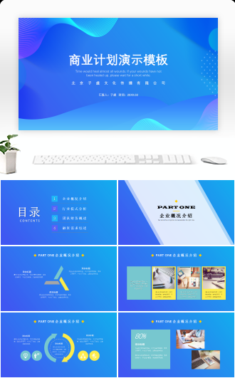 年度商业项目计划书