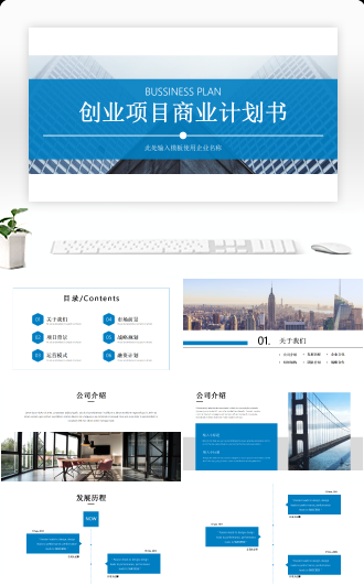 完整框架创业项目商业计划书