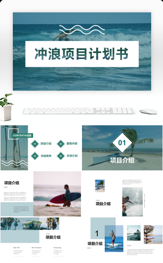 冲浪项目计划书