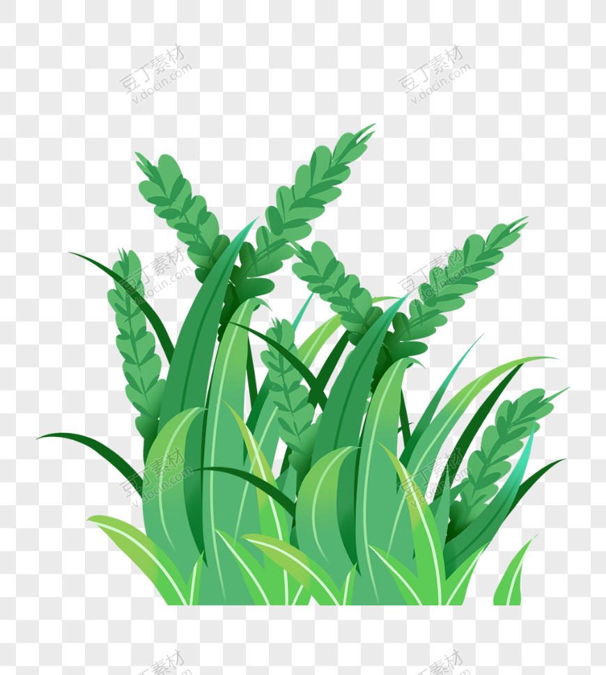 夏季绿色植物