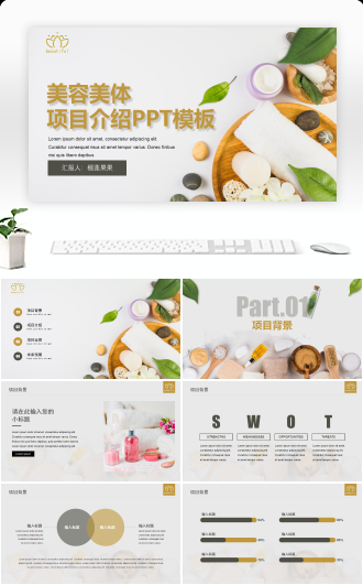 美容美体项目介绍PPT模板