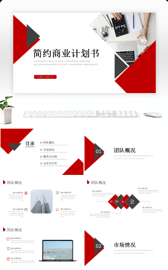 红色简约风商业项目计划书PPT模