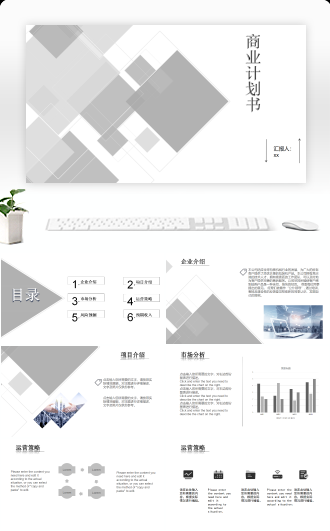 商业企业项目计划书模板