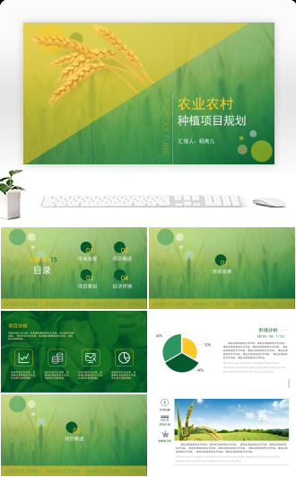 农业农村种植项目规划