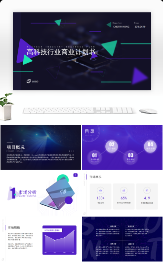 蓝紫商务高科技行业商业计划书