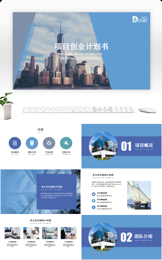 专业项目创业计划书