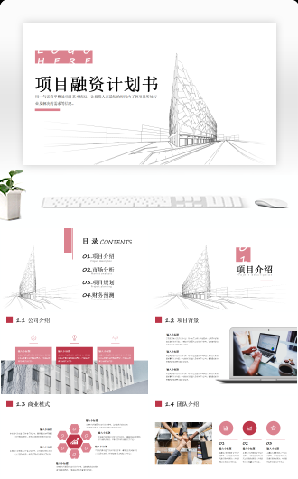 简约商务项目融资计划书