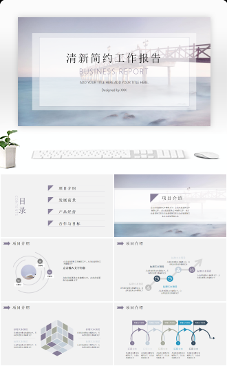 淡雅简约工作报告通用PPT模板