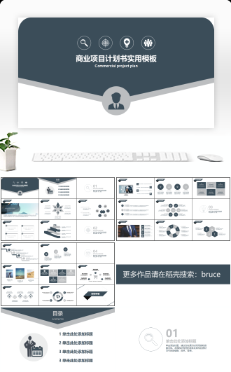 商业项目计划书实用模板