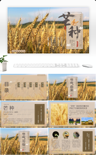 24节气芒种主题PPT通用模板
