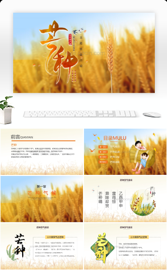 芒种主题班会（含内容）PPT课件讲义