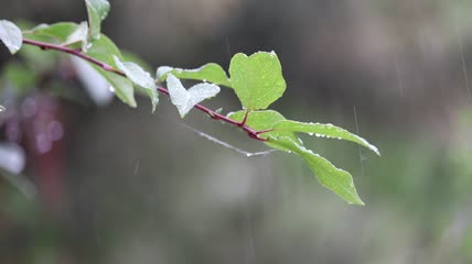 下雨