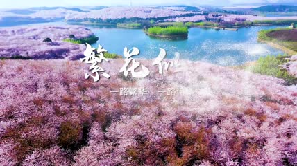 文字粒子消散PR模板