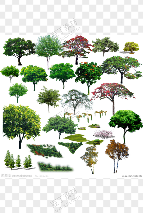 psd植物素材
