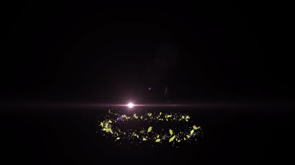 竹叶螺旋飞舞