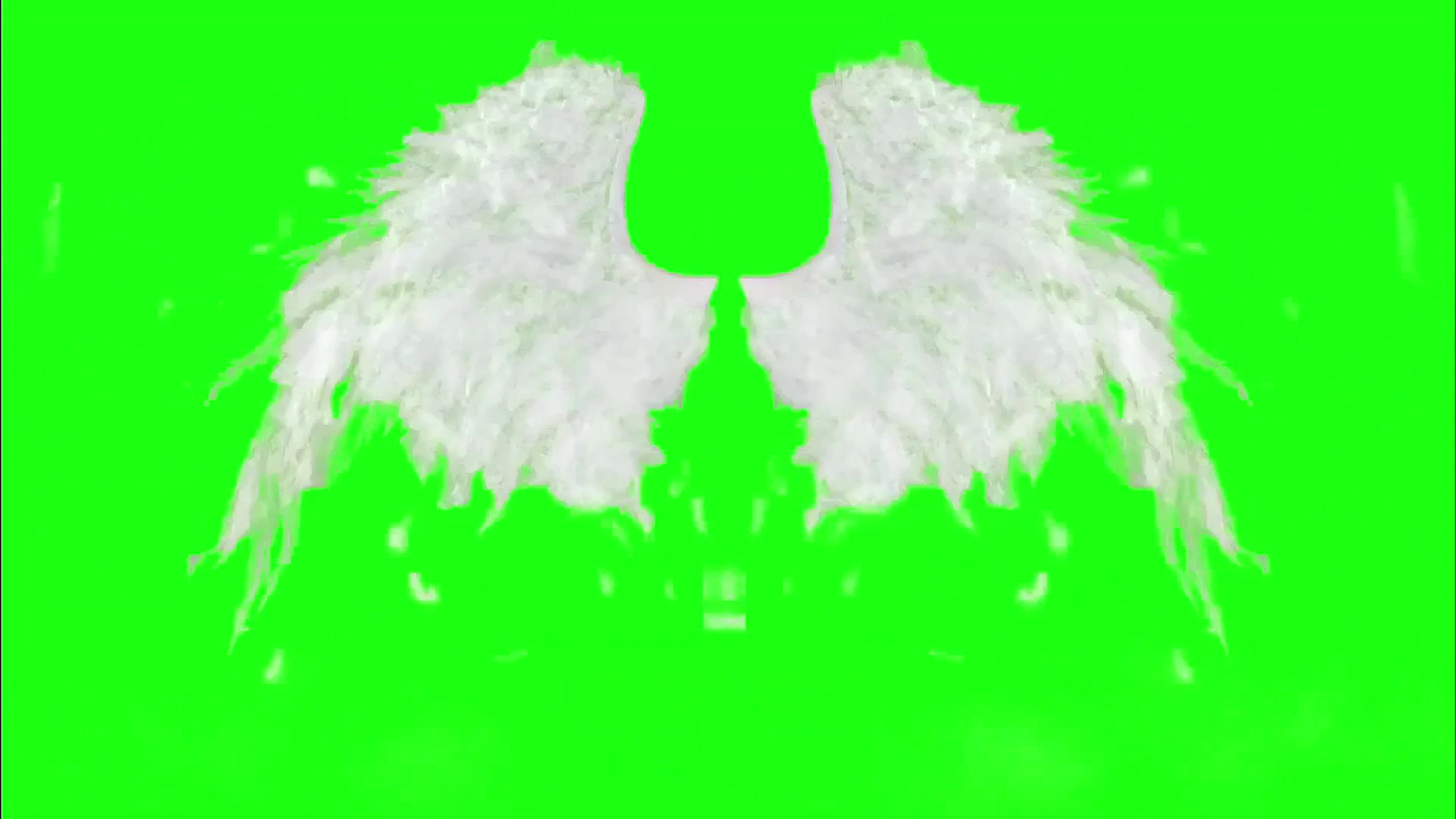 绿幕视频素材天使翅膀