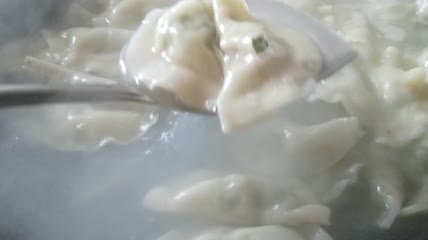 美味水饺饺子（4）