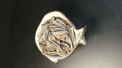 瓜子（14）