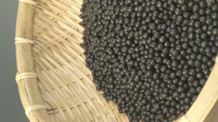 中药药丸（3）