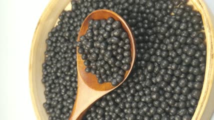 中药药丸（6）