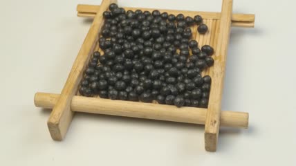 中药药丸（8）