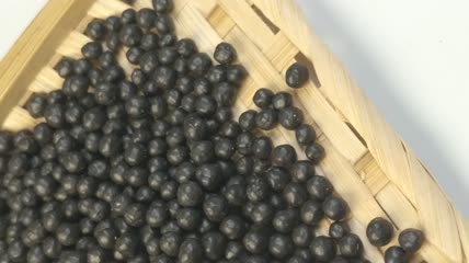 中药药丸（9）