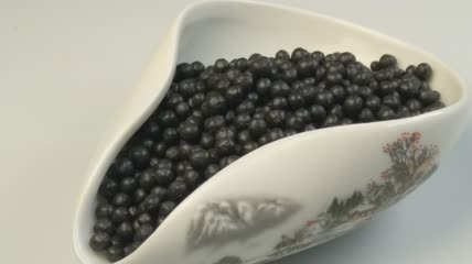 中药药丸（12）