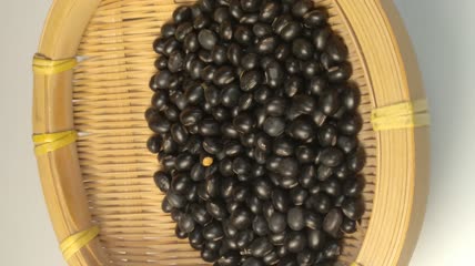 中药药丸（19）