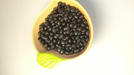 中药药丸（20）