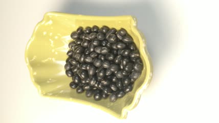 中药药丸（21）
