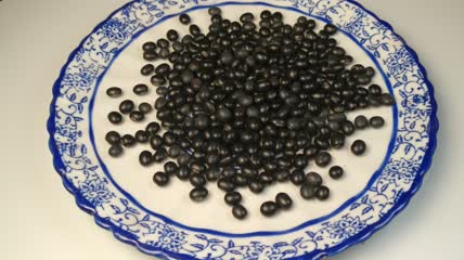 中药药丸（24）