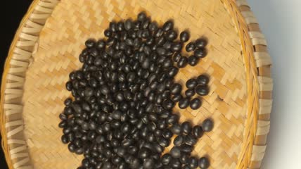 中药药丸（26）