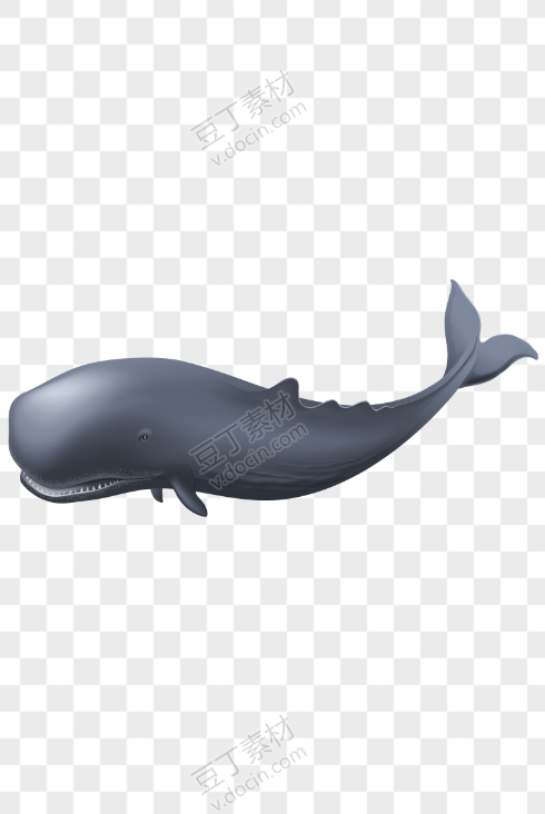 鲸鱼2