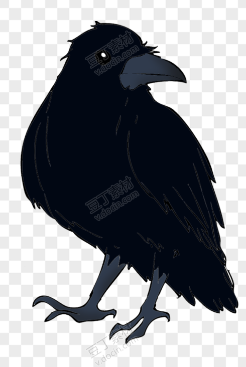 乌鸦 png (1)