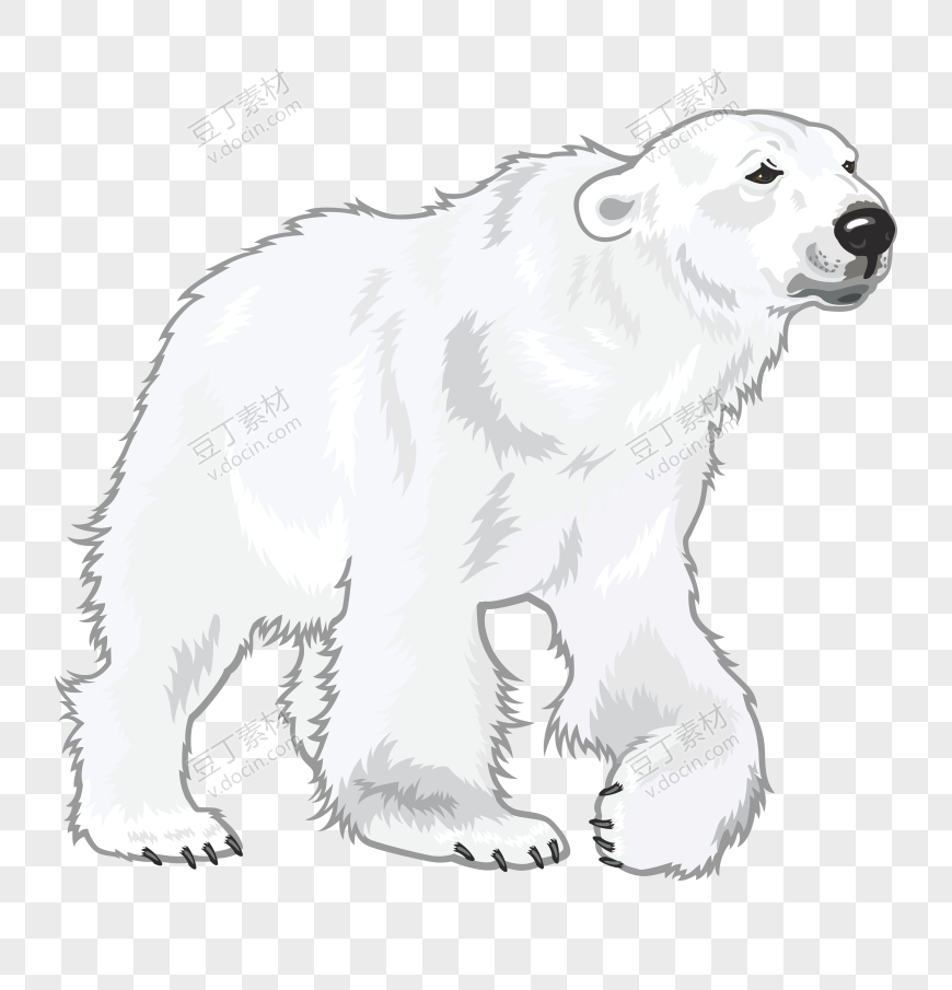 北极熊 PNG (14)