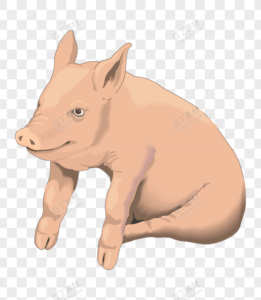 图片猪 PNG