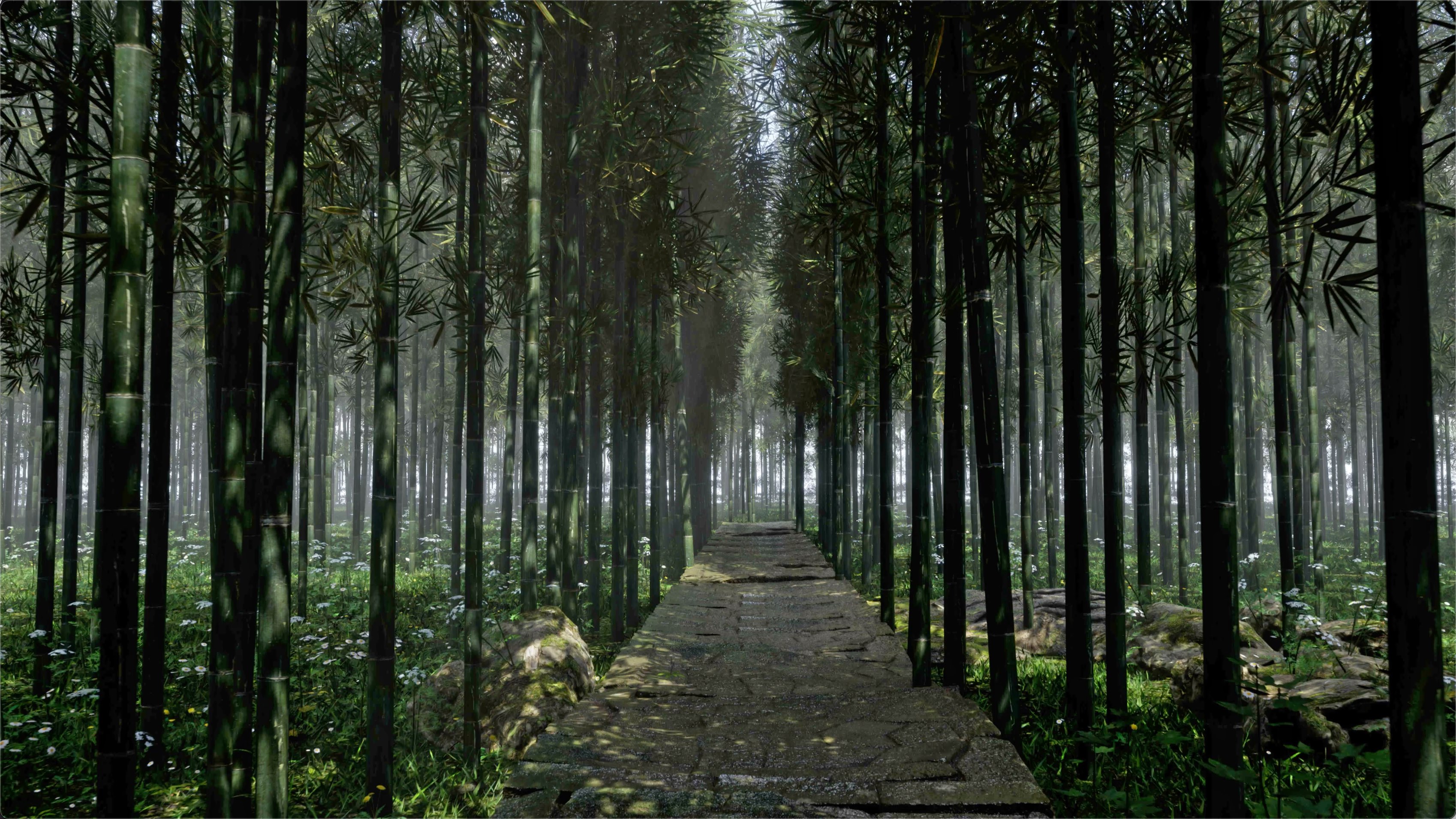 竹林4k