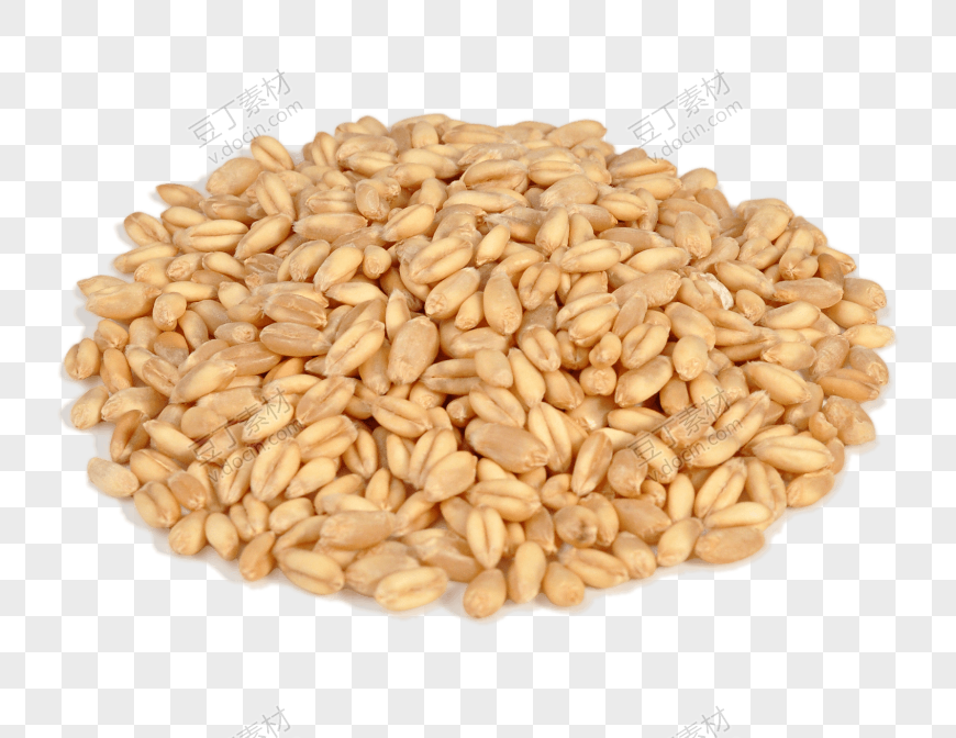 小麦 (79)