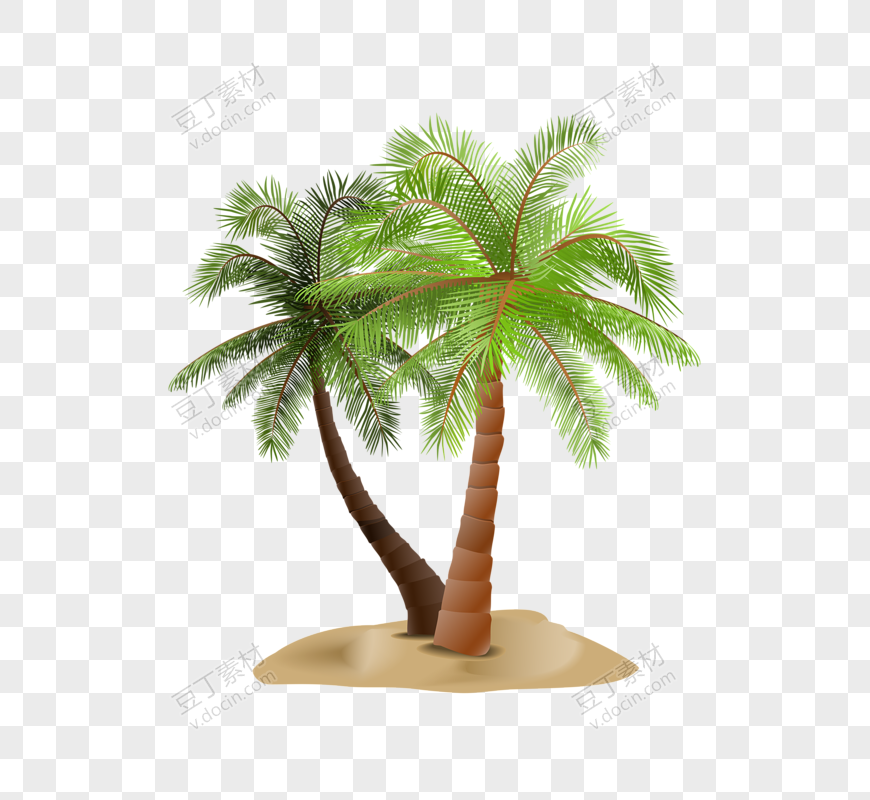 棕榈树(50)