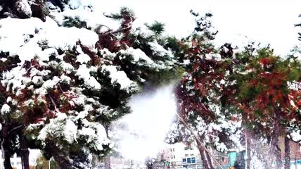 雪景实拍