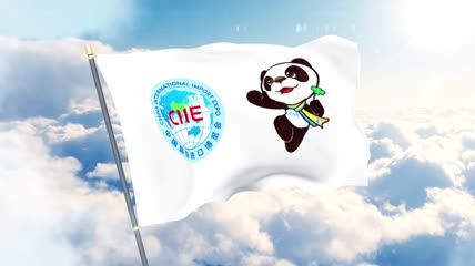 北京进博会旗帜飘扬天空AE模板